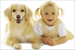 they look alike